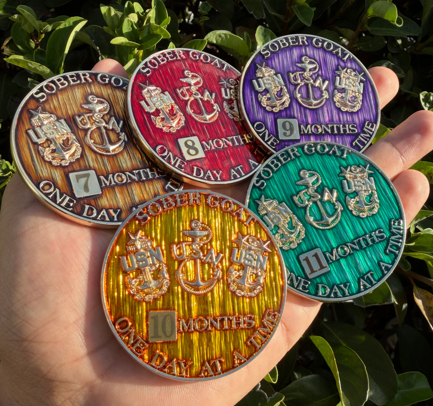 Sober Goat Months 7-10 (5 Coin Set)