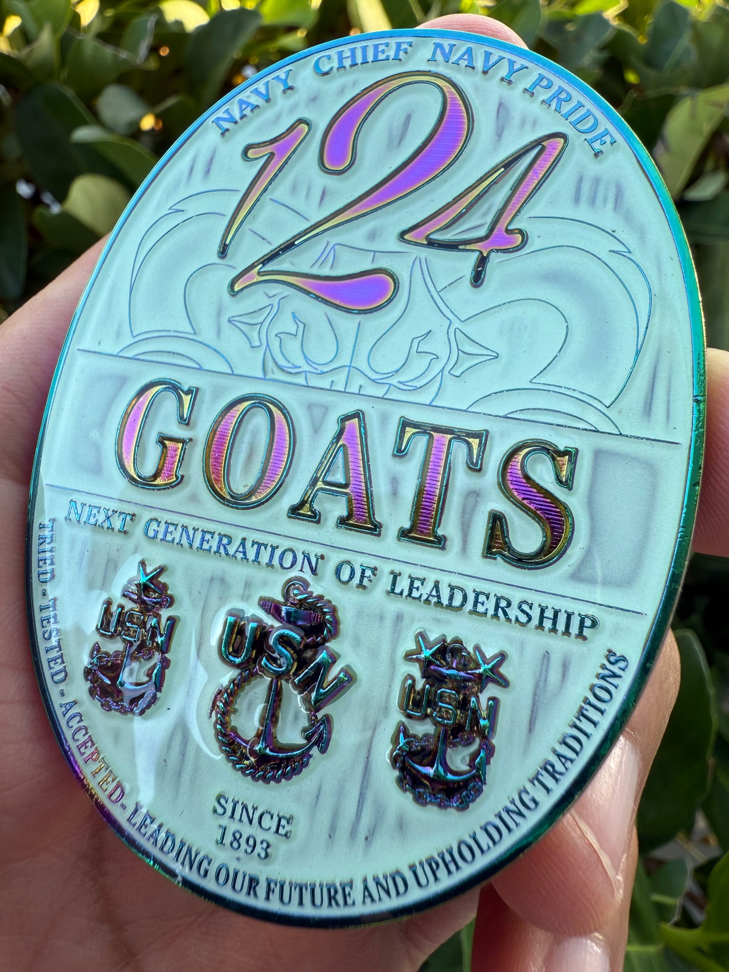124 Goats - OD & White