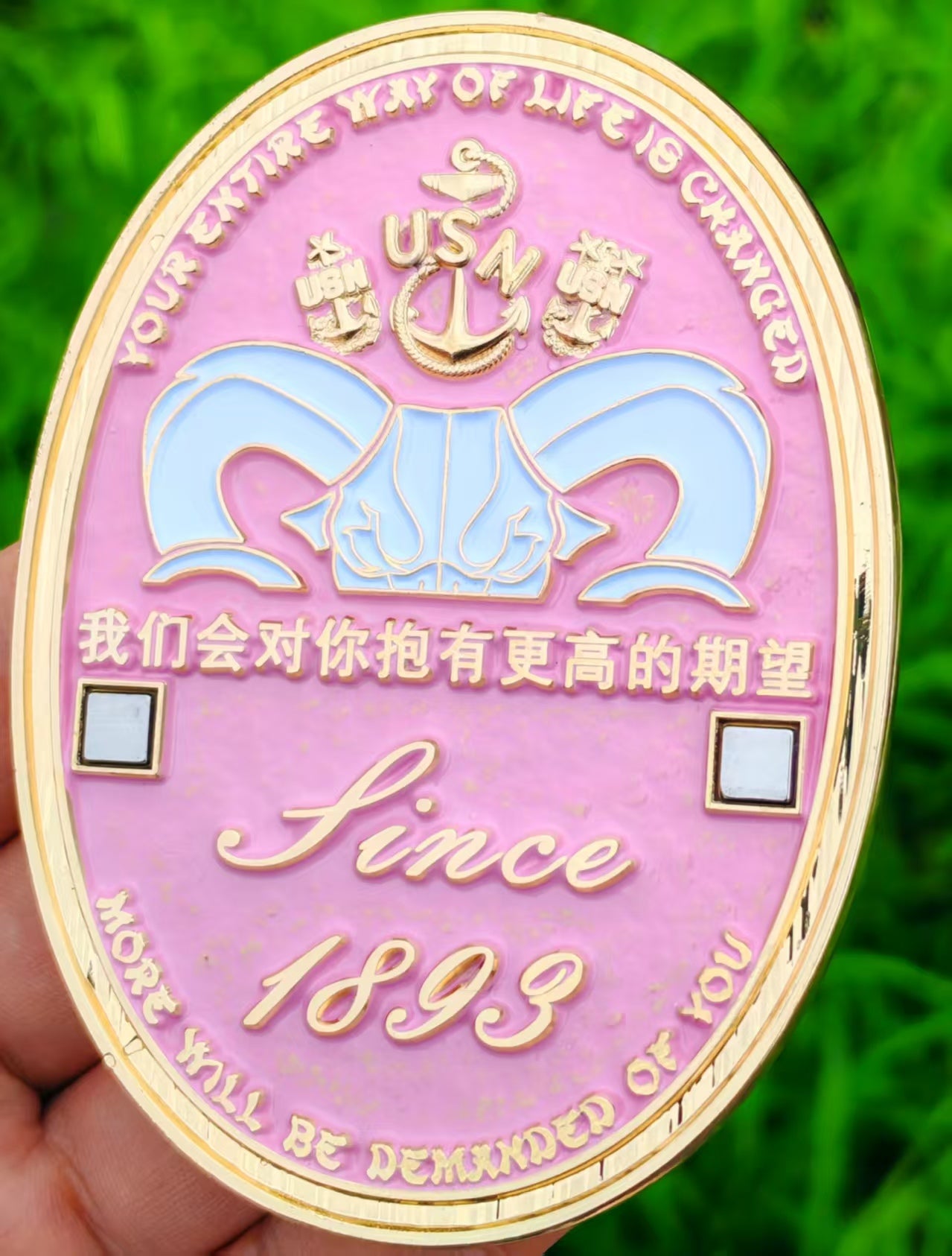 Pink YOTS FY 26. Double Coin
Anchor Holder.