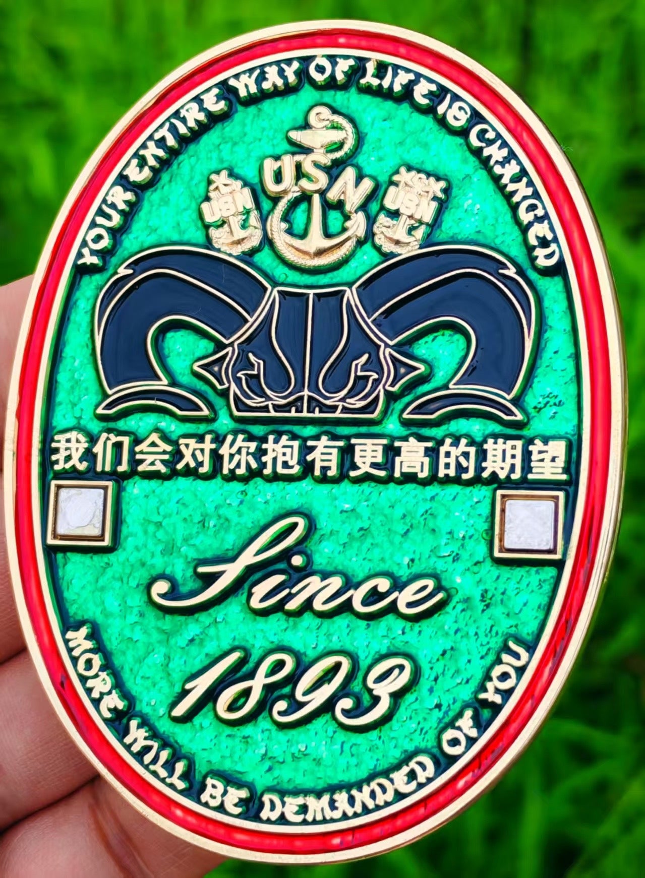 Green YOTS FY 26. Double Coin Anchor Holder.