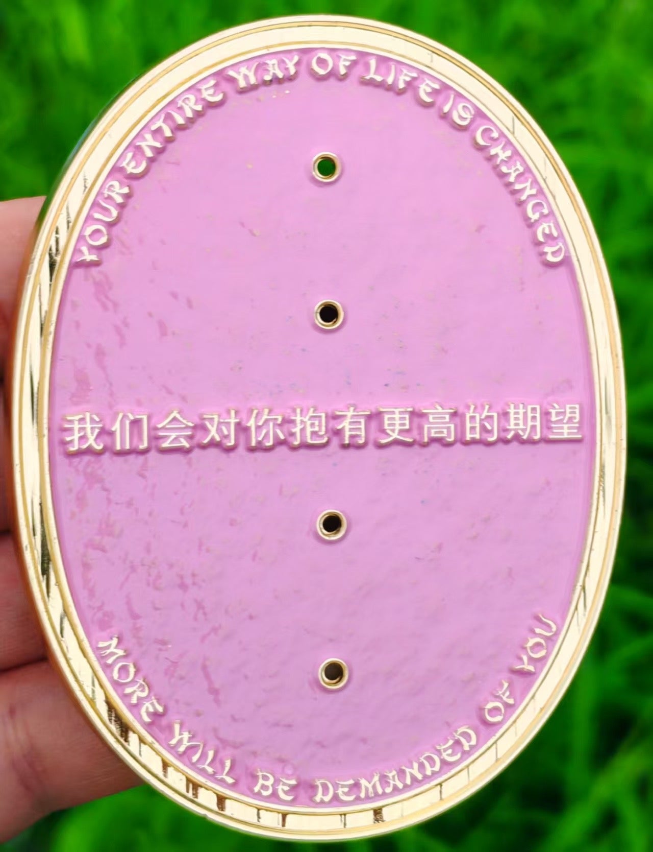 Pink YOTS FY 26. Double Coin
Anchor Holder.