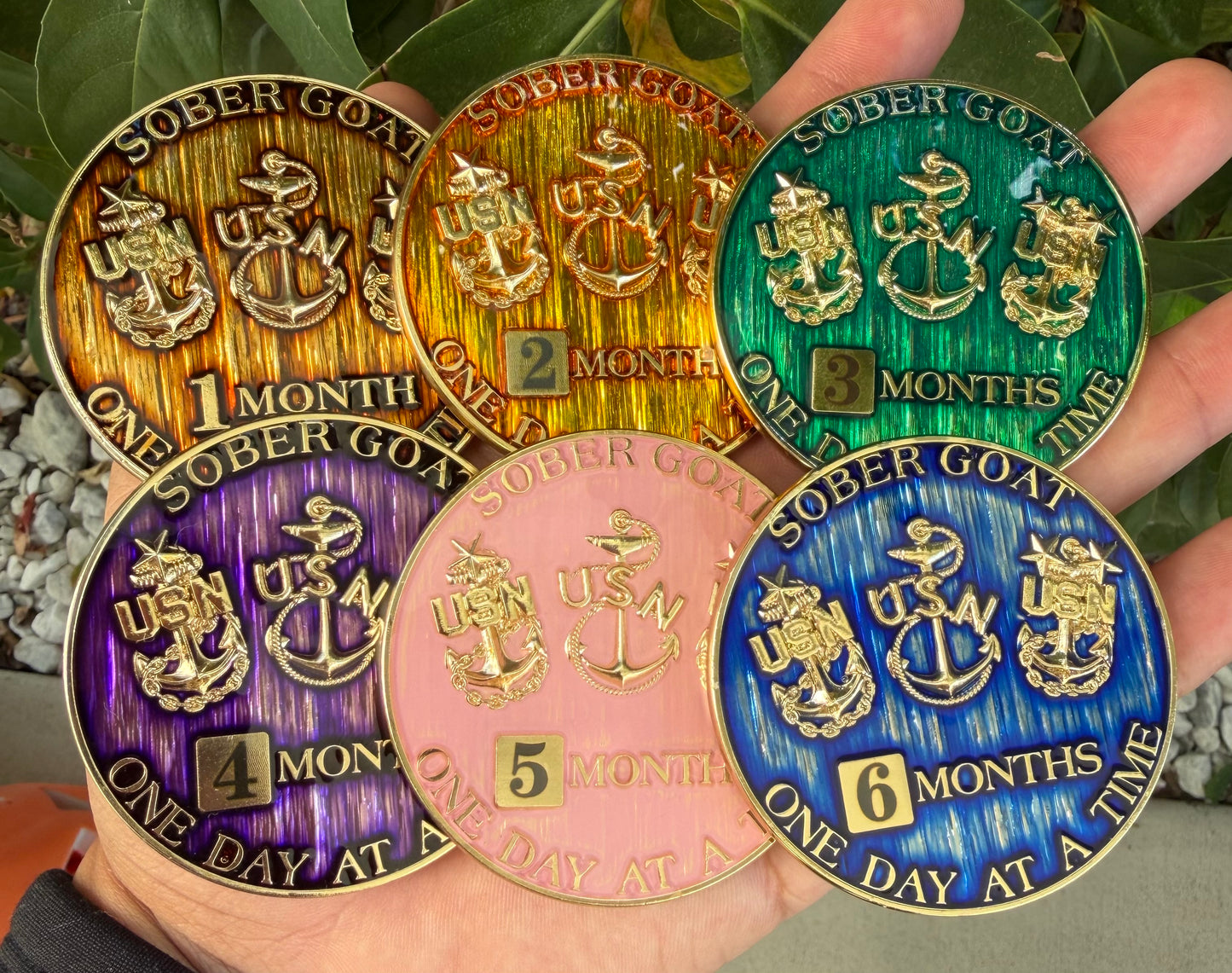 Sober Goat - 1-6 Months (6 Coin Set)