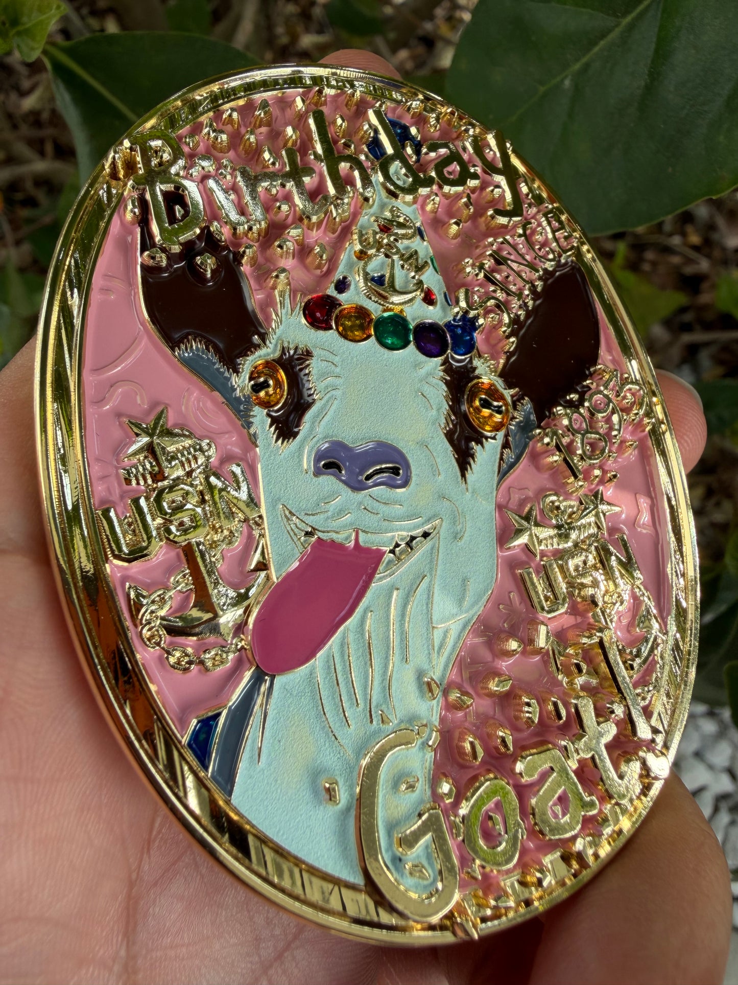 Birthday Goat - Pink