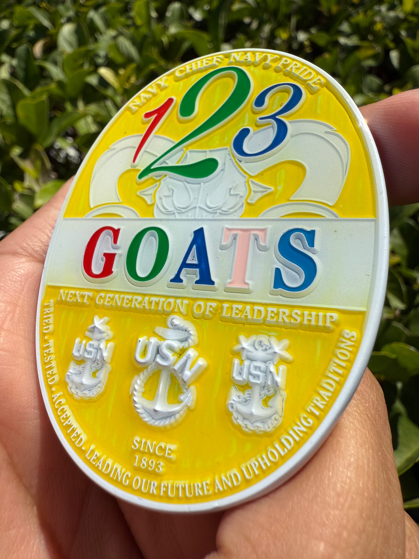 123 Goats!